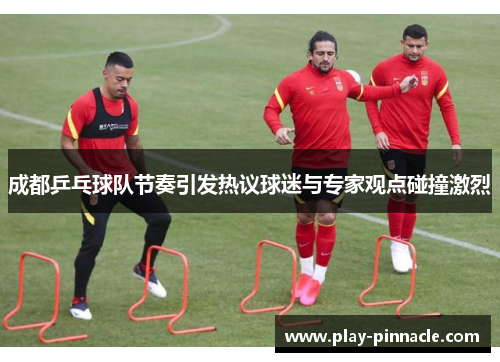 成都乒乓球队节奏引发热议球迷与专家观点碰撞激烈