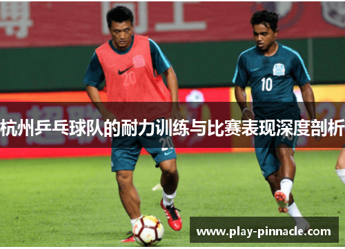 杭州乒乓球队的耐力训练与比赛表现深度剖析
