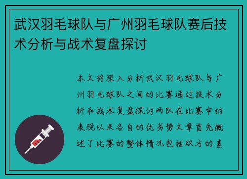 武汉羽毛球队与广州羽毛球队赛后技术分析与战术复盘探讨